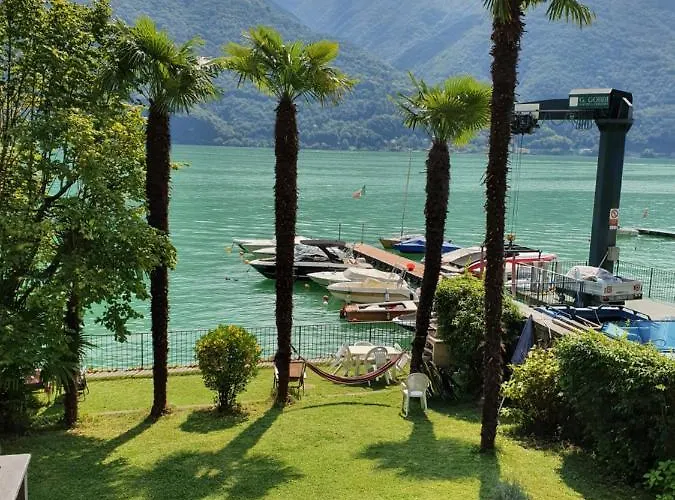 Le Palme Antonella